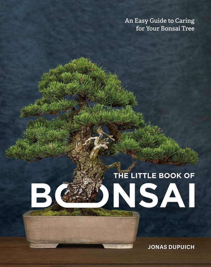 The Little Book of Bonsai – book cover