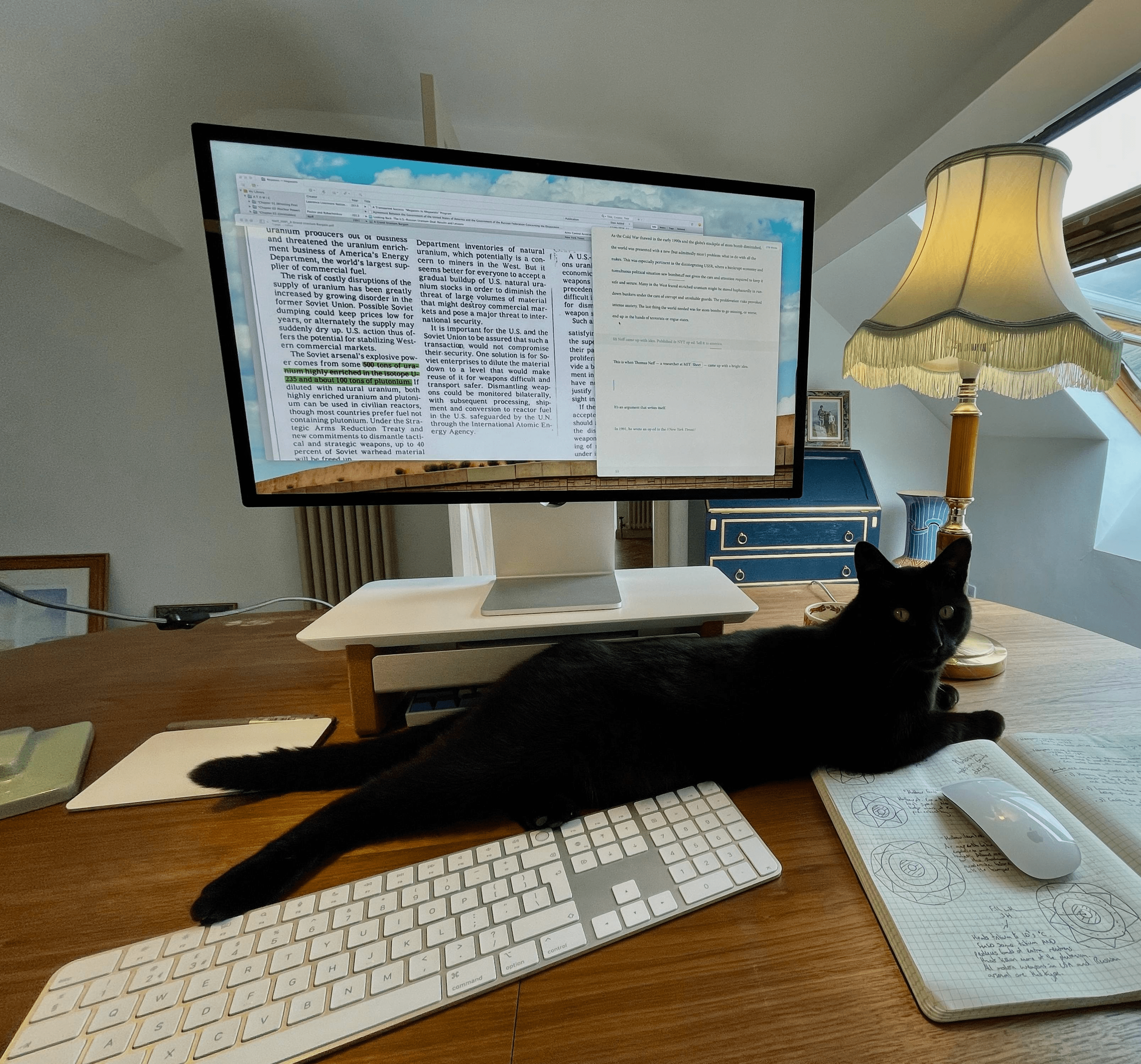 Tim’s cat \[cat’s name], demanding attention while he is writing his book.