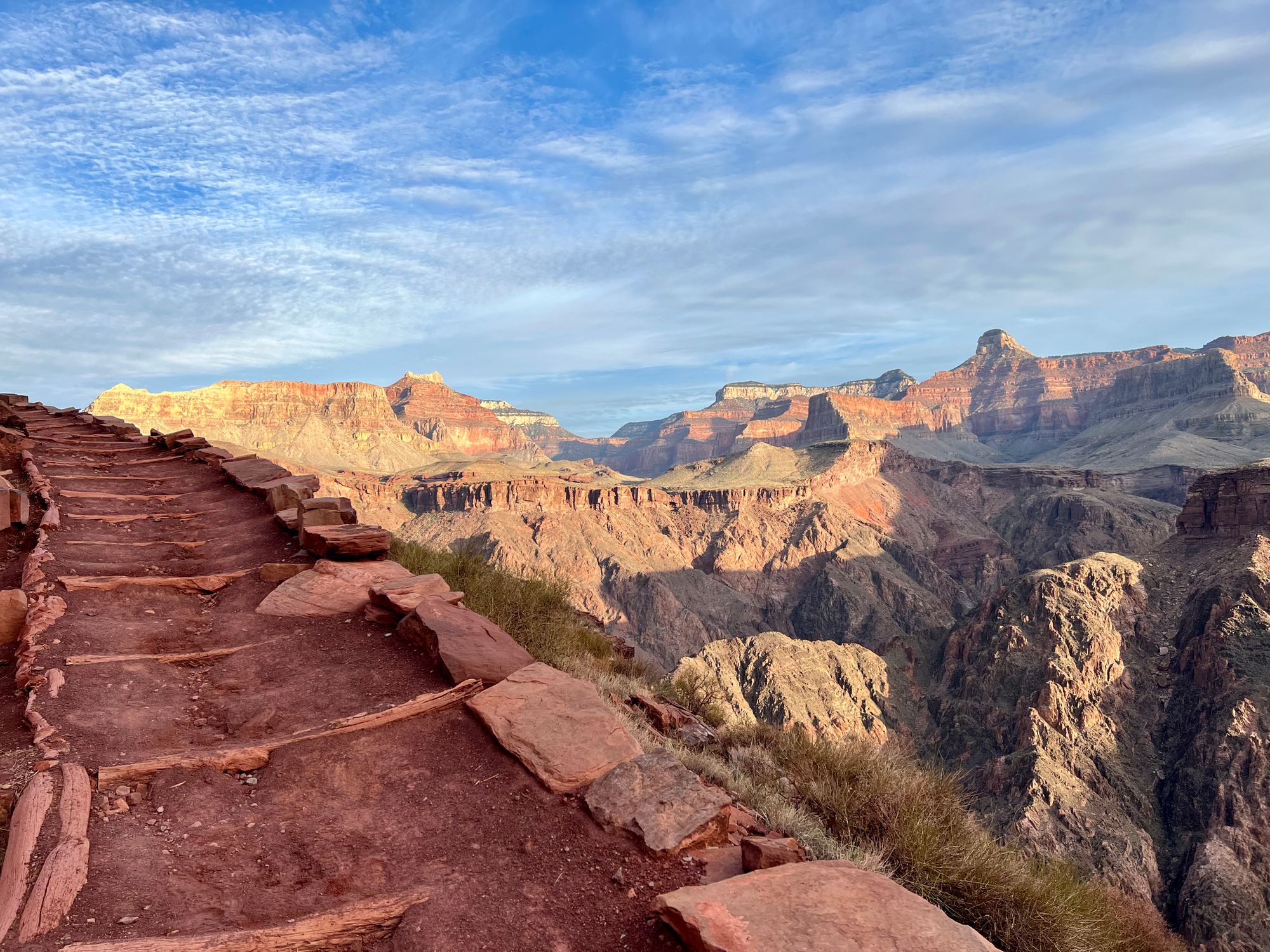 Shortcuts in the Wild