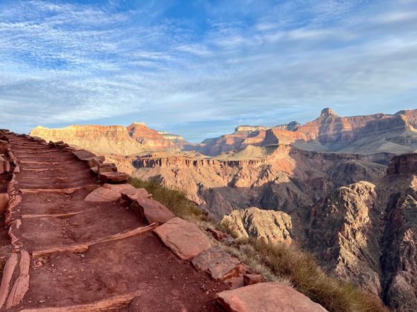 Shortcuts in the Wild